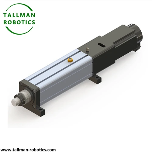 Electric Linear Motion System