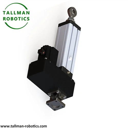 Electric Linear Motion System