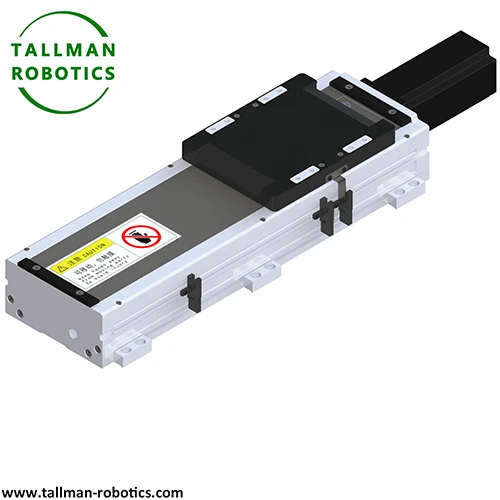 Ball Screw Linear Module